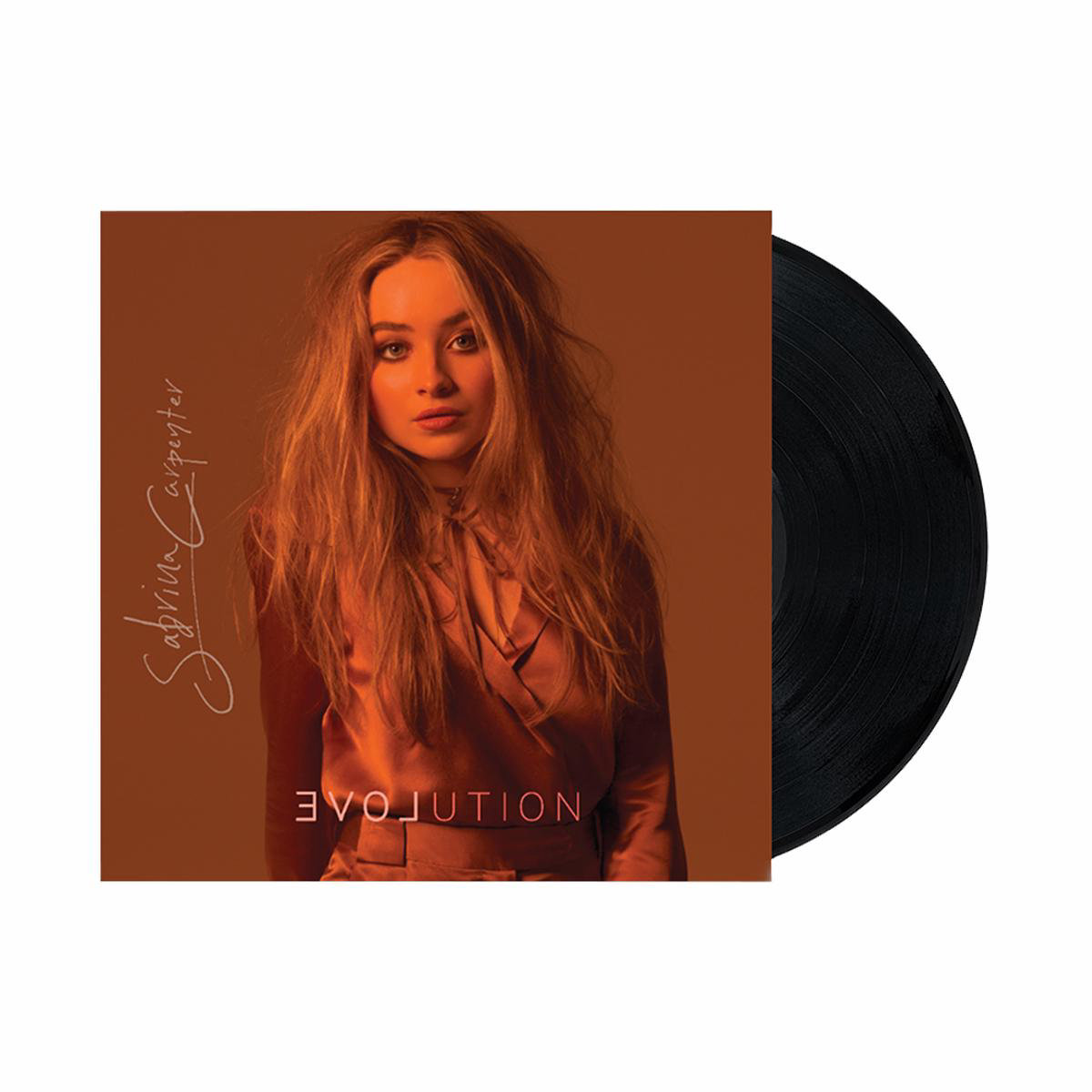 EVOLution Vinyl LP