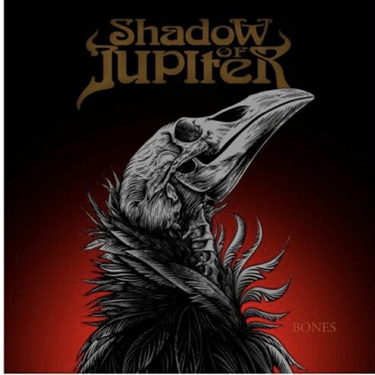 Shadow of Jupiter: Bones – VINYL LP