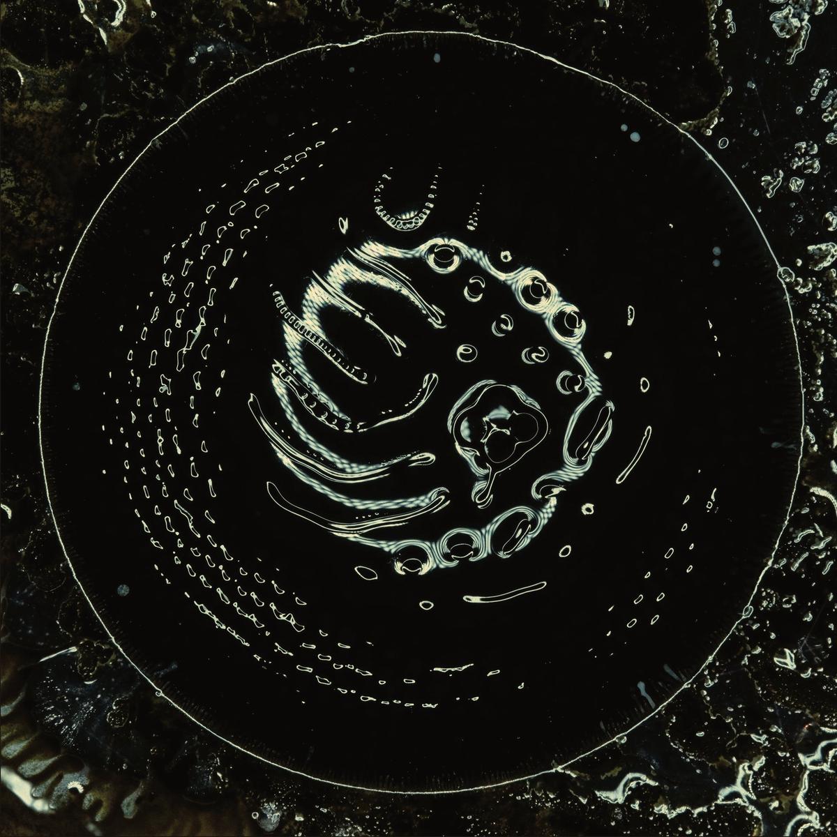 Stonus – Stonus (Black Vinyl) (LP)
