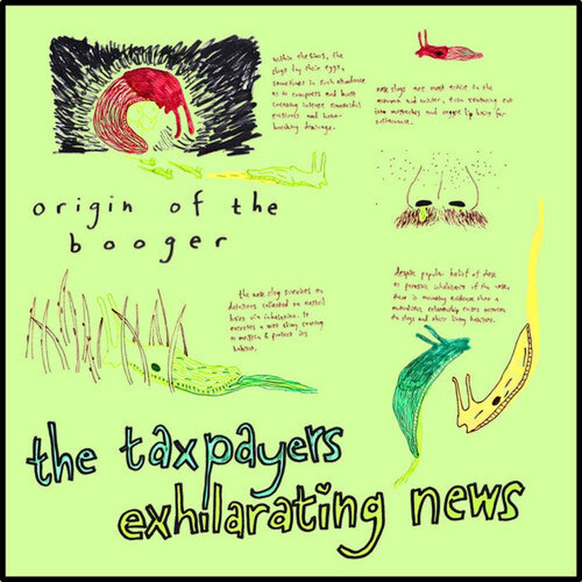 Taxpayers: Exhilarating News – VINYL LP