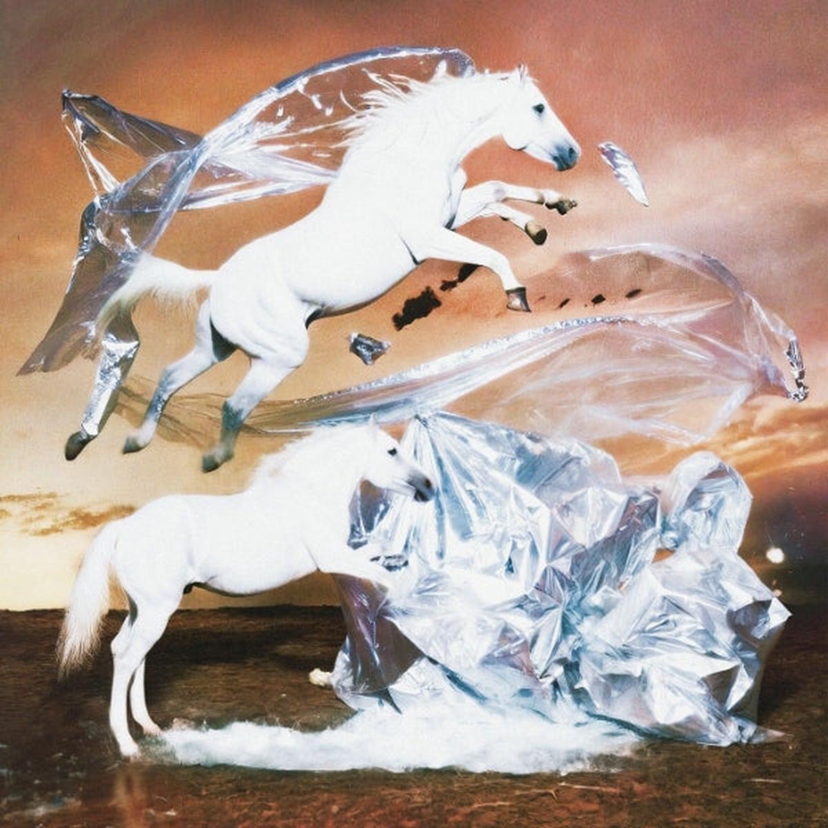 Schntzl – Fata Morgana (LP)