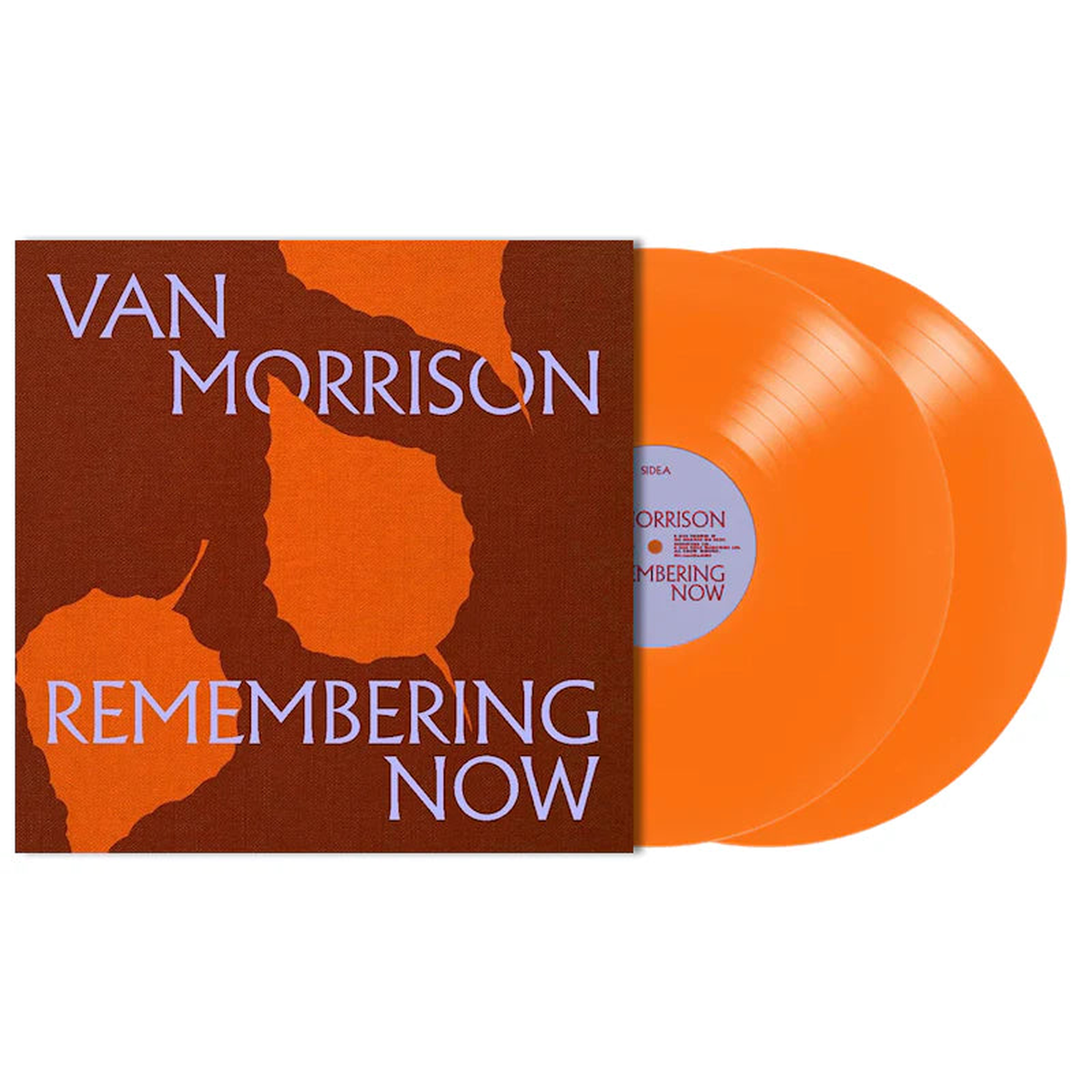 Van Morrison – Remembering Now (2 LPs)