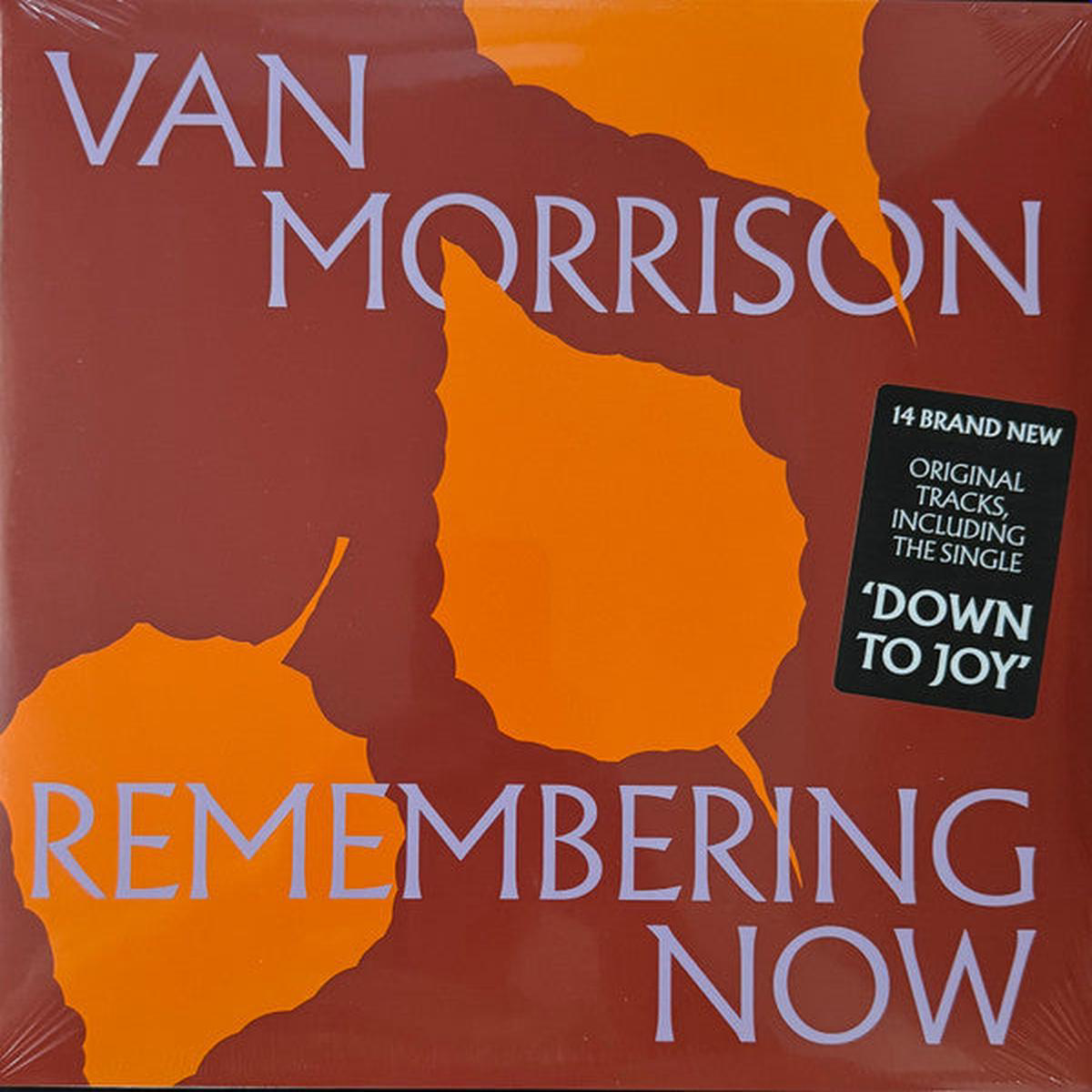 MORRISON VAN 8211 REMEMBERING NOW BLACK 2LP SET 8211 LP