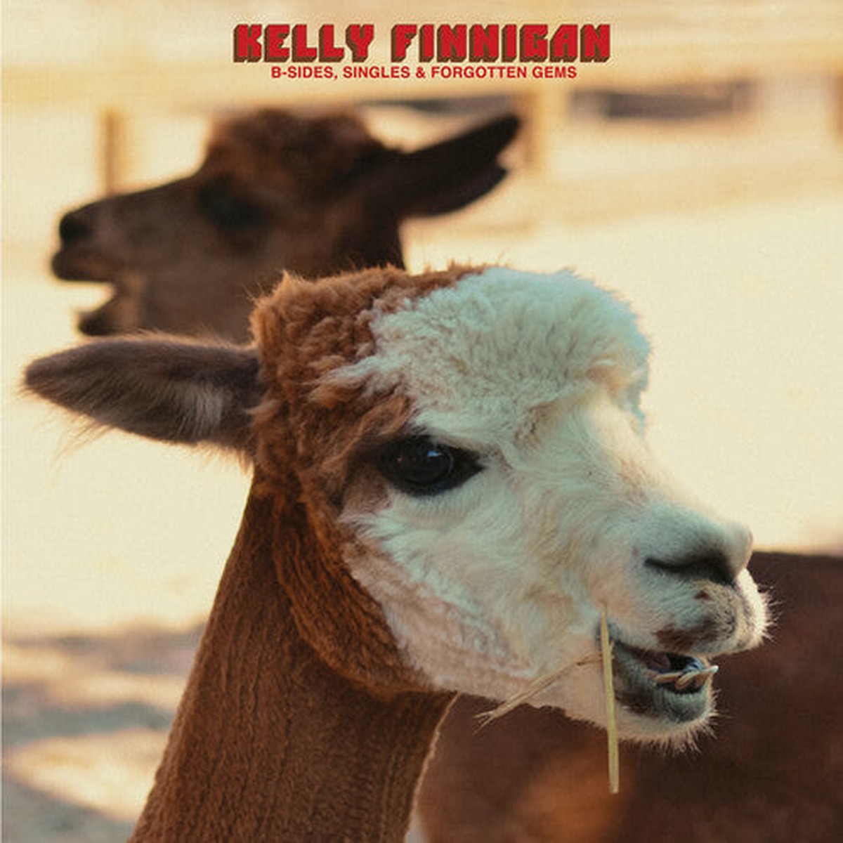 Kelly Finnigan: B-Sides, Singles & Forgotten Gems – VINYL LP