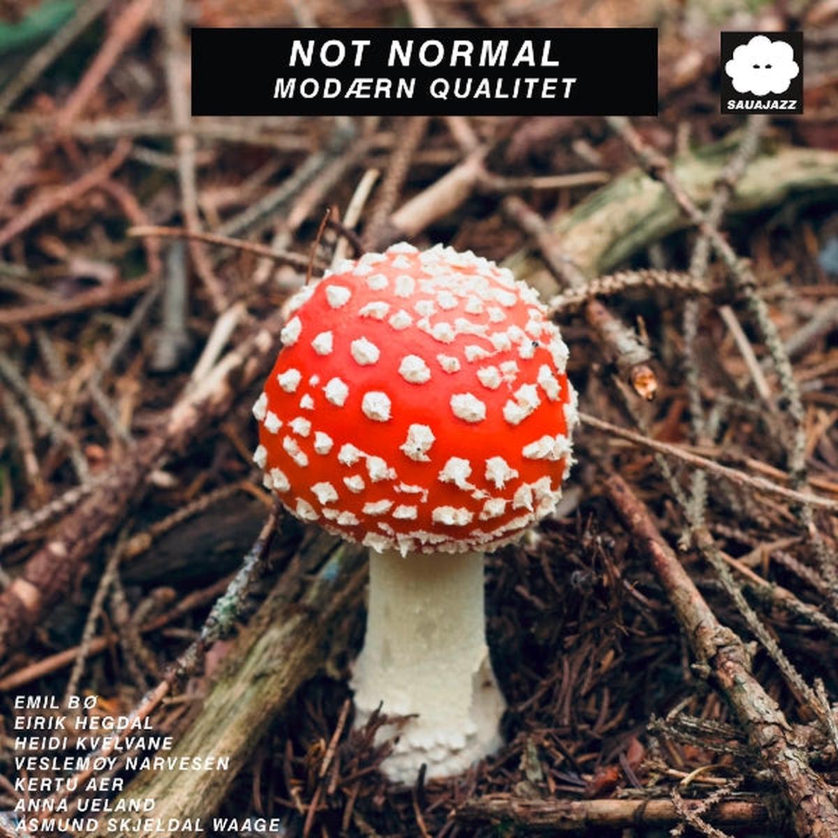 Not Normal – Modaern Qualitet (LP)