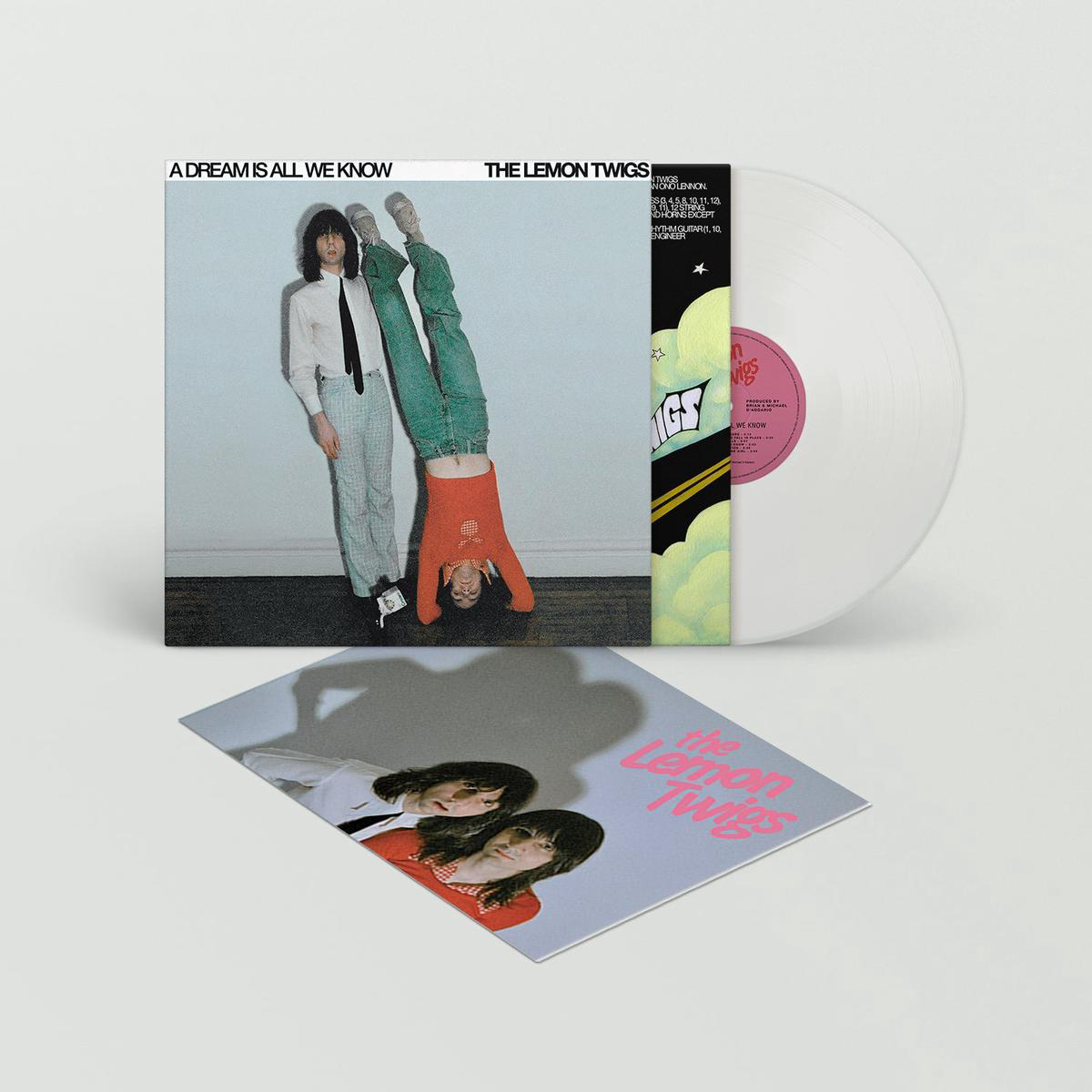 A Dream Is All We Know Limited 8217Ice Cream8217 Vinyl LP