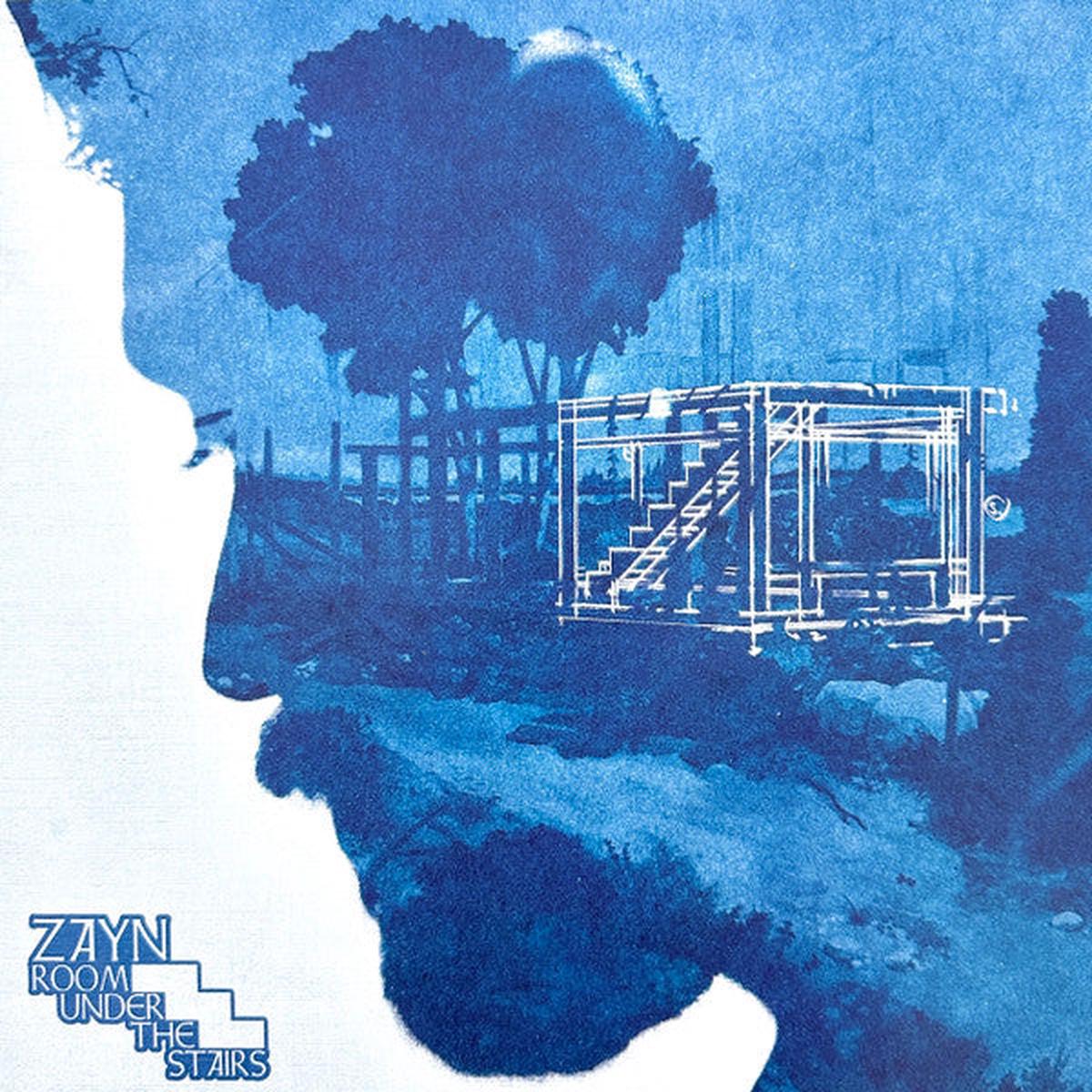 ZAYN - ROOM UNDER THE STAIRS : SPLATTER VINYL - LP