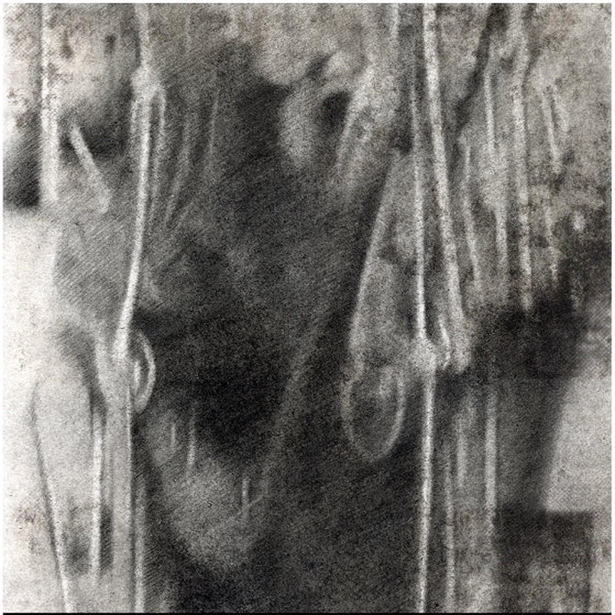 33 - Tripolar (LP)