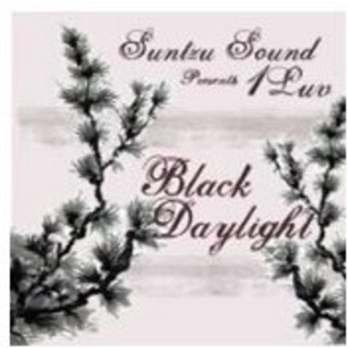 1Luv: Black Daylight - VINYL LP