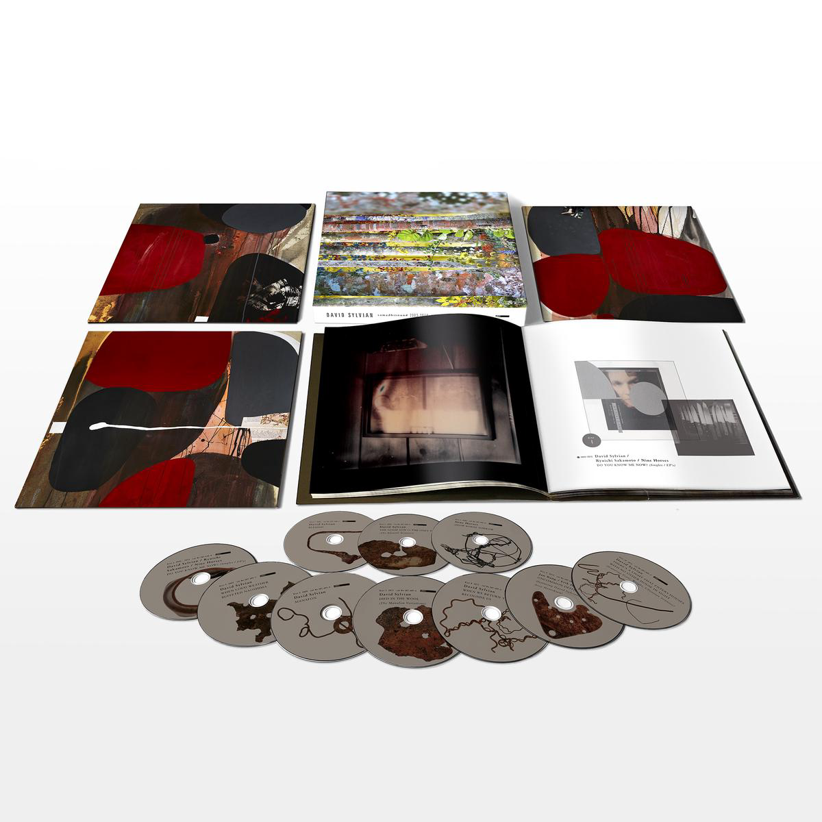 David Sylvian 8211 Do You Know Me Now (Exclusive 10CD Box Set)